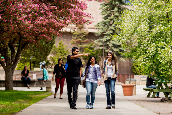 Exquisite Lakehead University Campus