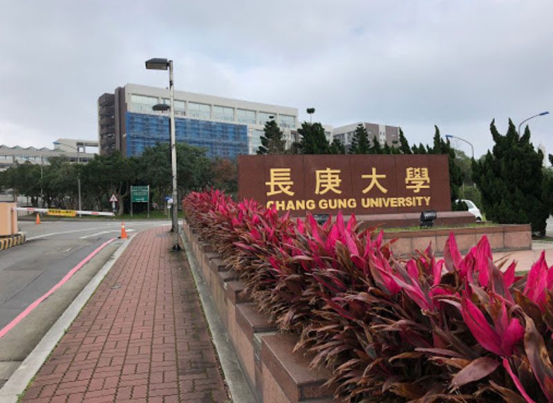 Chang Gung University Overview