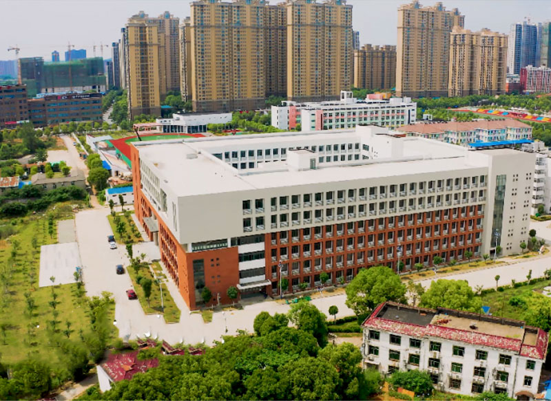Hankou University Overview