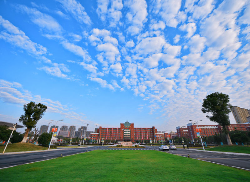 Yichun University Overview