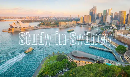 Study in Sydney