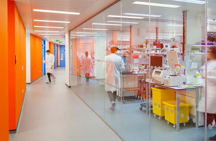 Undergraduate Program Tuition Fees